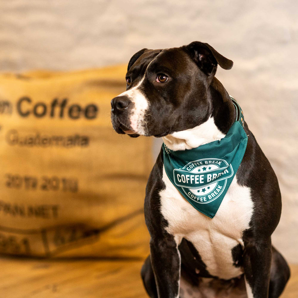 Dog Bandana - Coffee Break