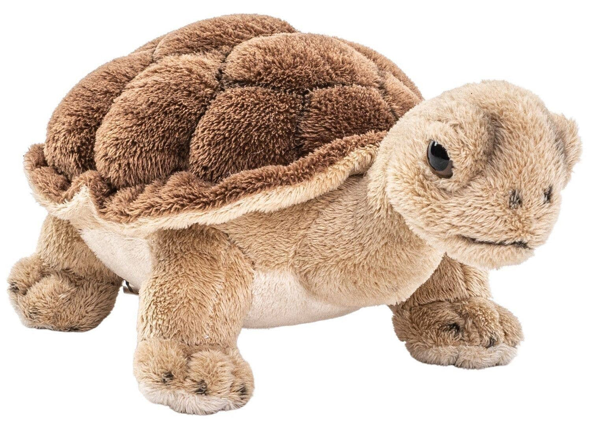 Detailansicht Landschildkröte Plüschtier – naturgetreues Design mit flauschigem Material