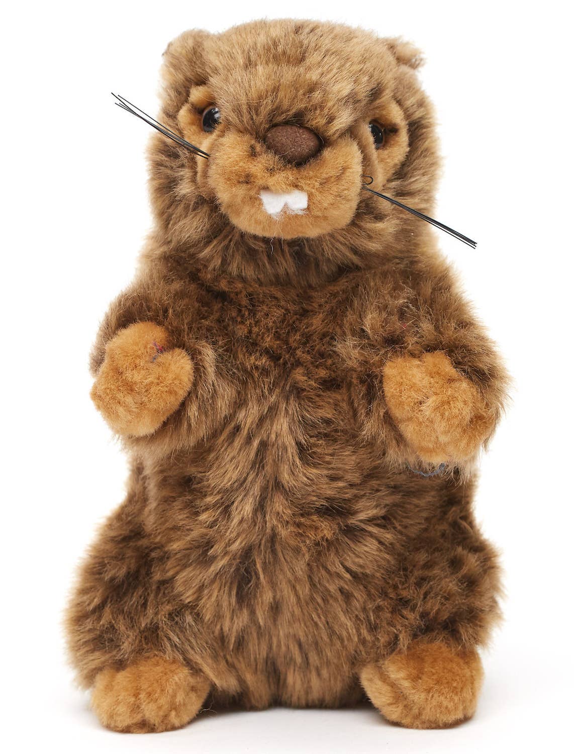 Murmeltier mit pfeifender Stimme, stehend - 17 cm (Höhe)