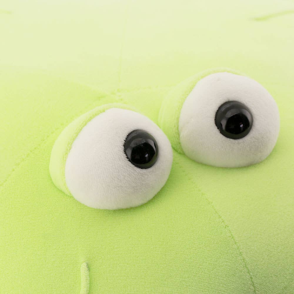 Hellgrüner Seestern-Plüsch - 80 cm - 0+