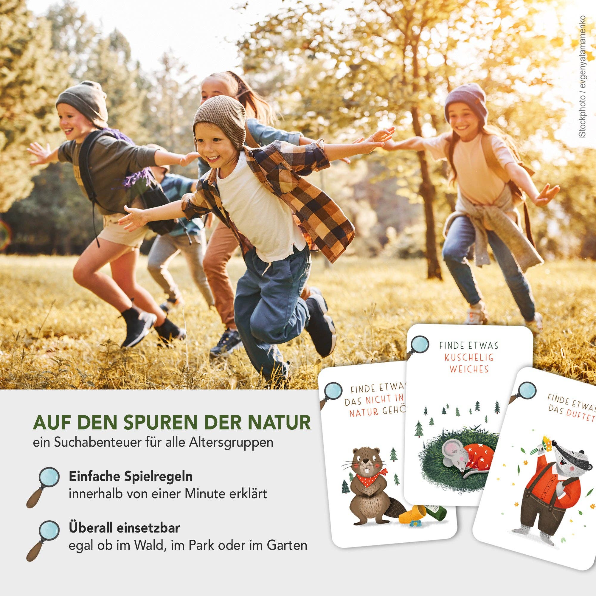 Suchen & Finden - Wald-Schatzsuche