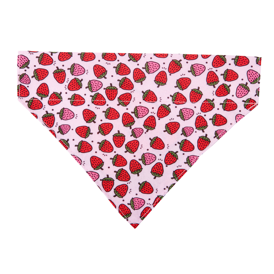 Dog Bandana - Strawberry Dream