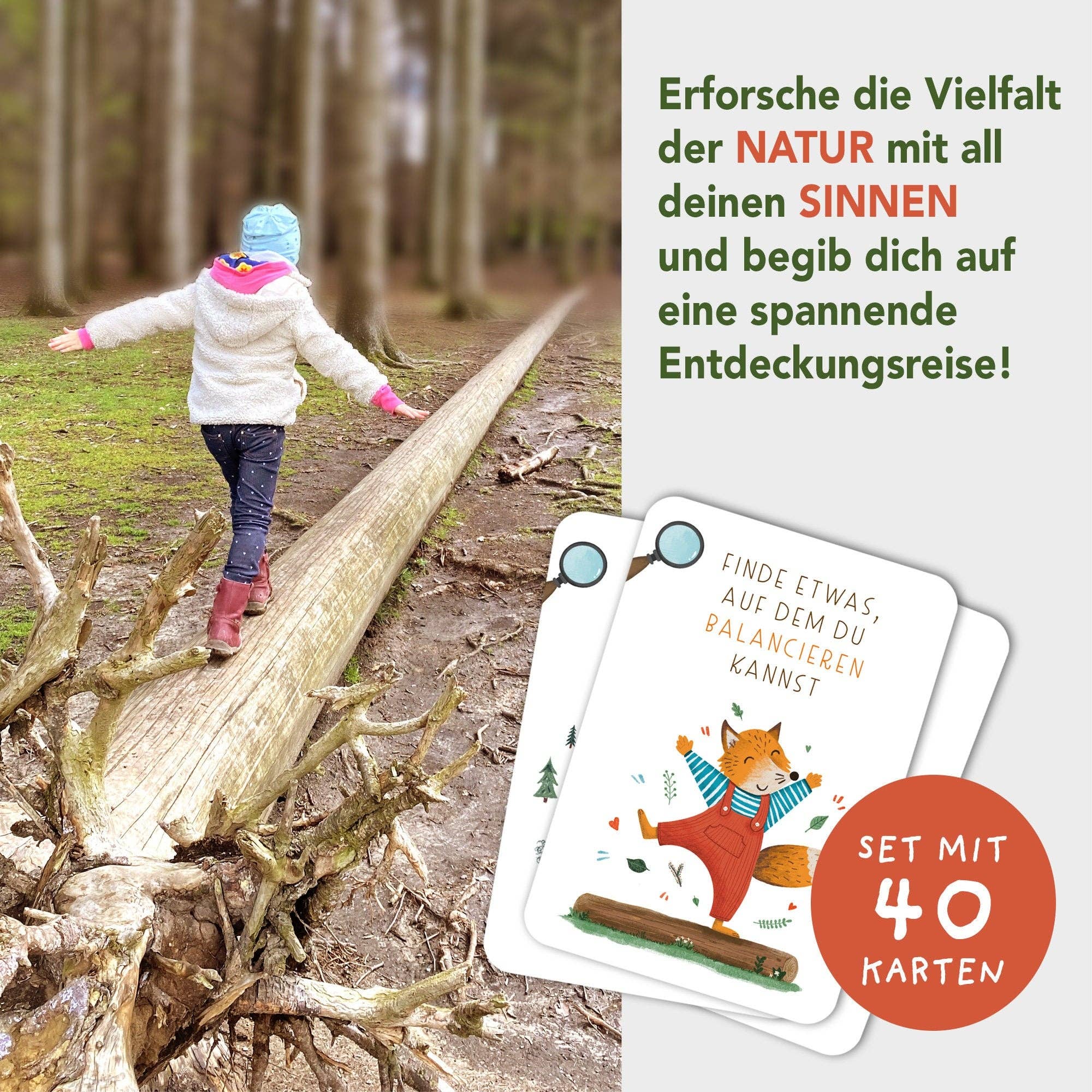 Suchen & Finden - Wald-Schatzsuche