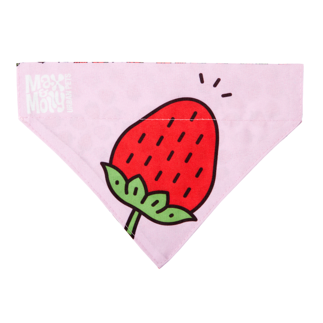 Dog Bandana - Strawberry Dream