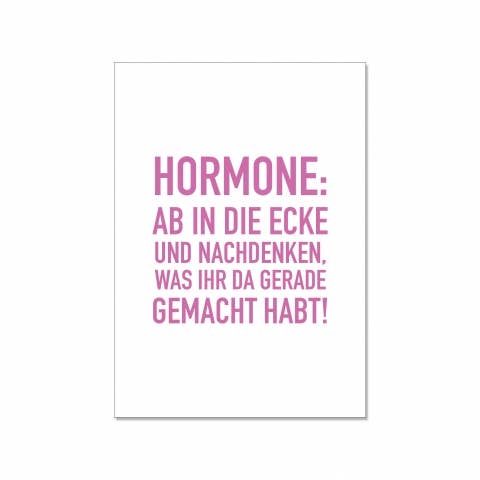Postkarte hoch, HORMONE: AB IN DIE ECKE UND NACHDENKEN