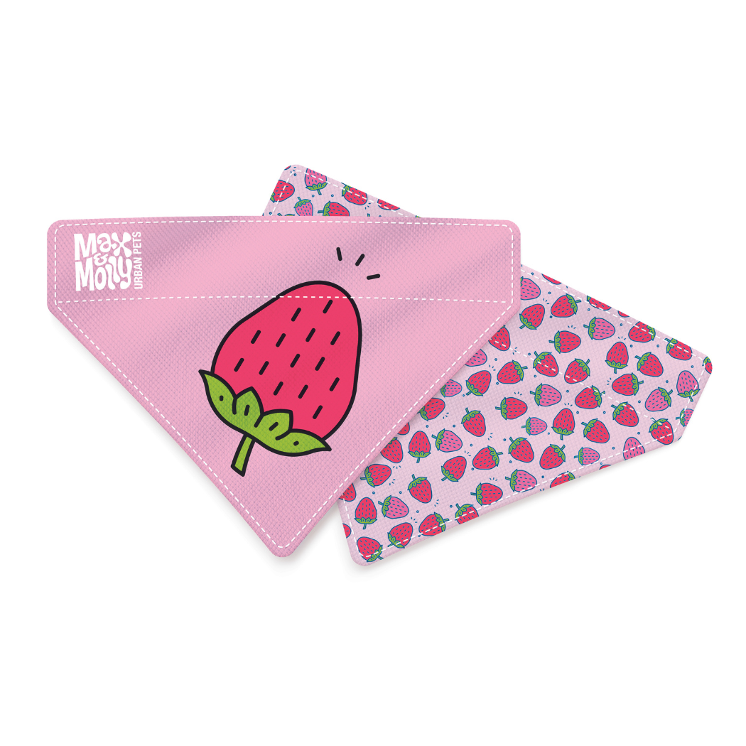 Dog Bandana - Strawberry Dream