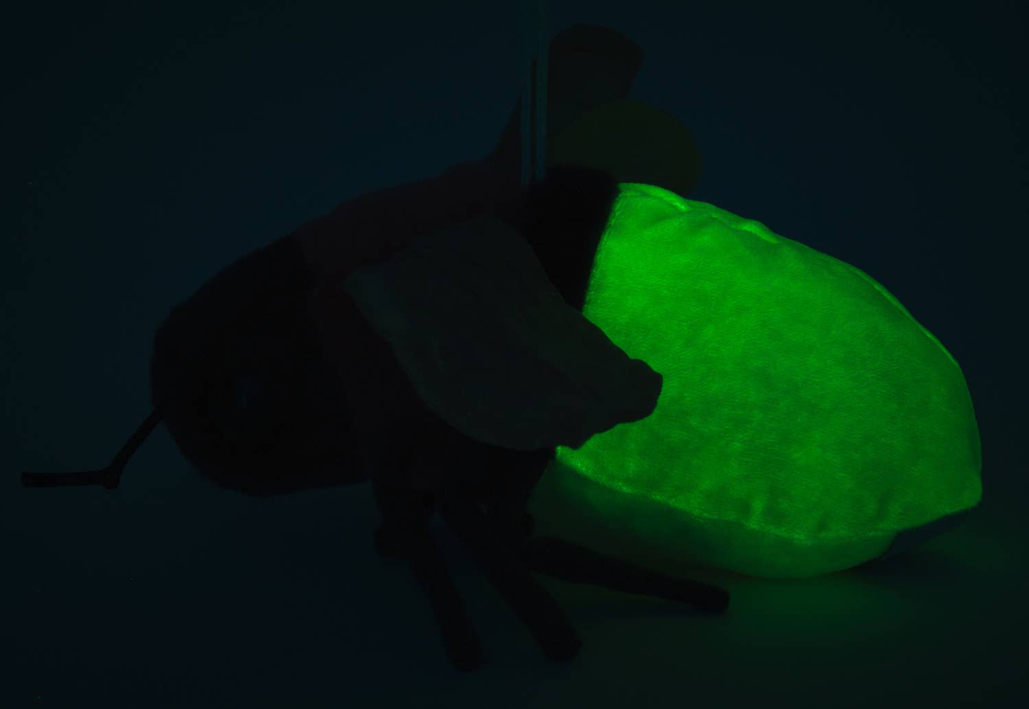 Glühwürmchen (fluoreszierender Plüsch) - Kuschel-/Plüschtier