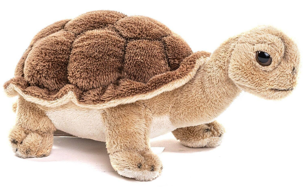 Landschildkröte Kuschel-Plüschtier 19 cm – weiches Stofftier aus hochwertigem Plüsch
